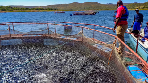 Multiknit International - Aquaculture Netting